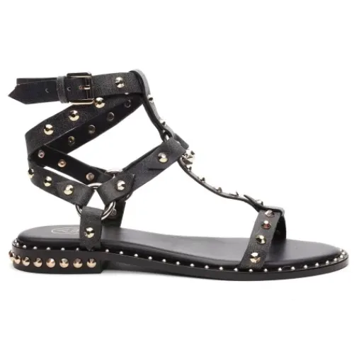 ASH Pulp Flat Studded Gladiator Sandals | Women's | Black/Beige Cheap
